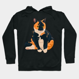 Chonky Calico Sitting Hoodie